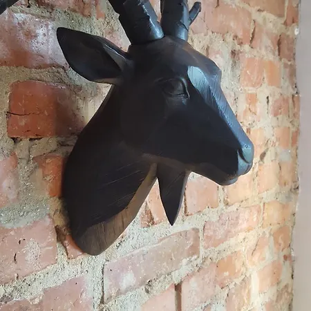 Central Apart Plevne