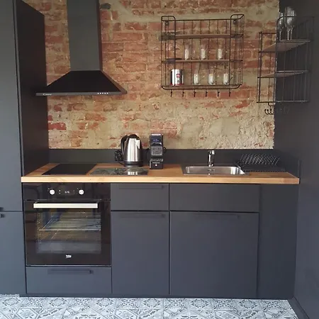 Central Apart Daire Plevne