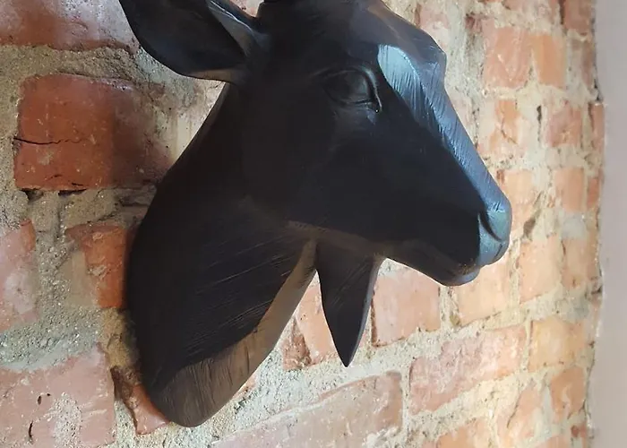 Central Apart Pleven